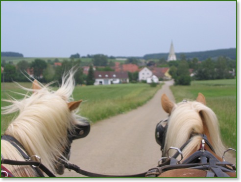 Kutsche fahren