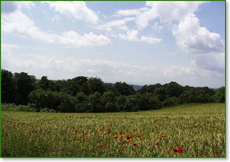 Blick von Hohentrüdingen